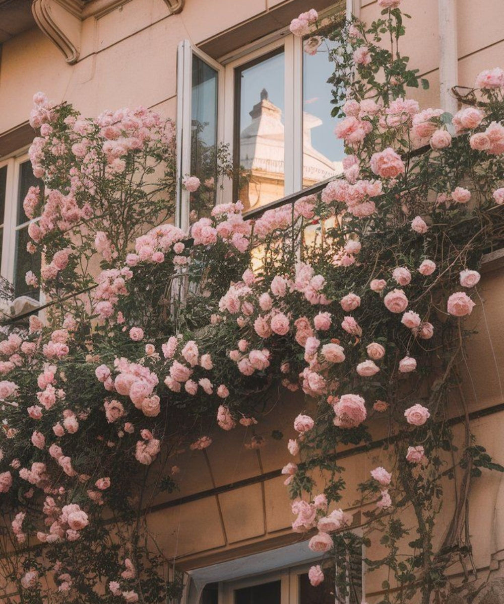 Pink: A New Neutral