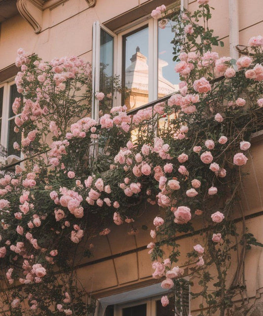 Pink: A New Neutral